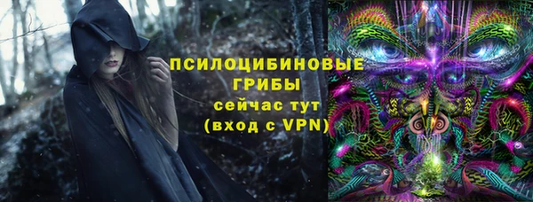 PSILOCYBIN Алексин