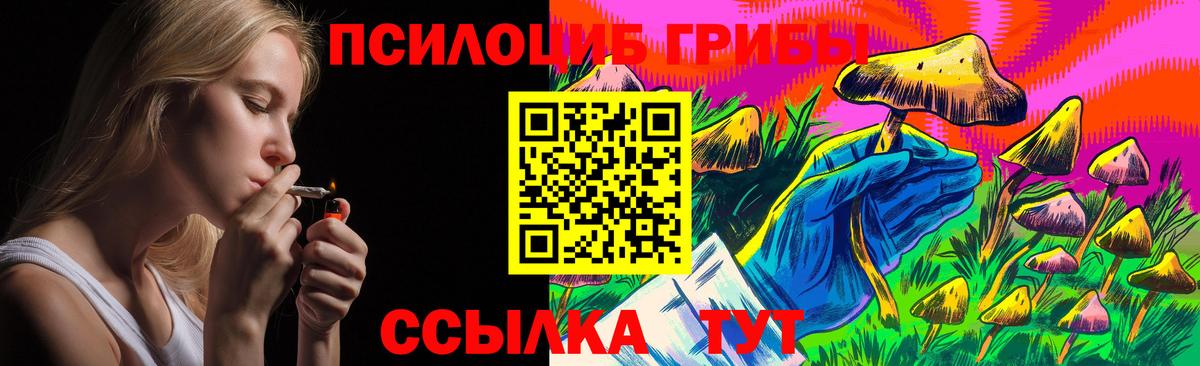 Галлюциногенные грибы Magic Shrooms Новозыбков