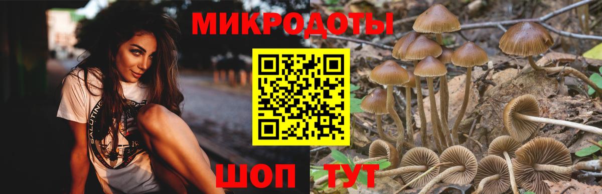 Псилоцибиновые грибы GOLDEN TEACHER  Галлюциногенные грибы MAGIC MUSHROOMS  Новозыбков  Вход с VPN 